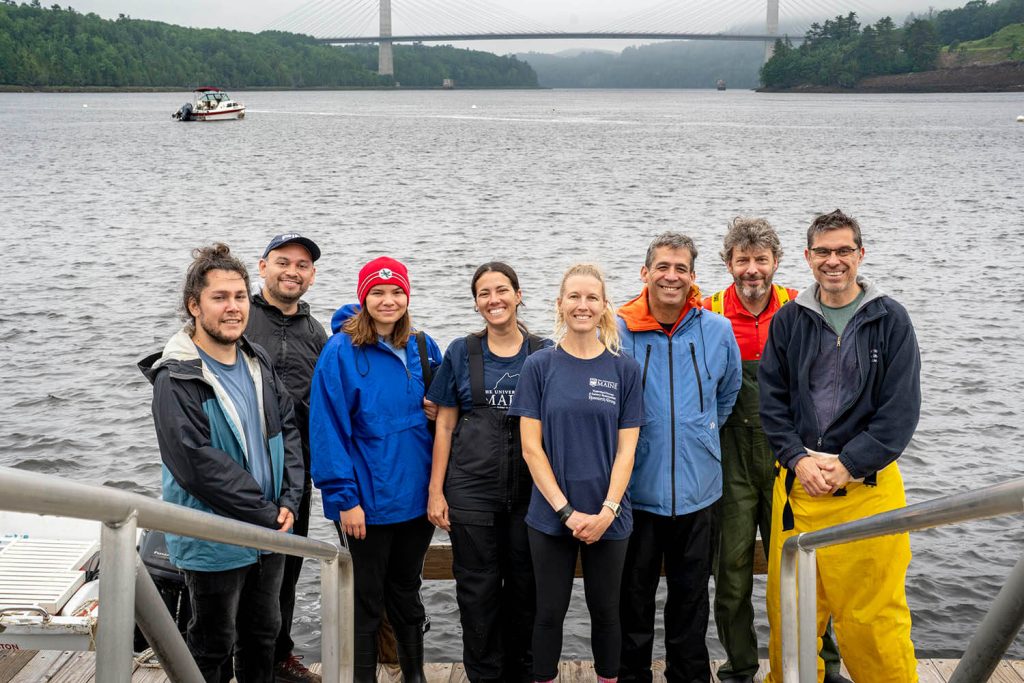 A photo of Lauren Ross with students and fellow scientist on the coast of Maine