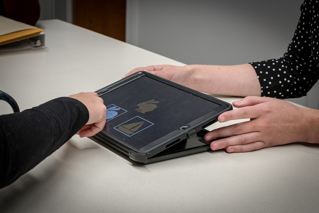 The NIH toolbox on a tablet