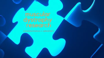 muscular dystrophy research bioinformatics plus zebrafish