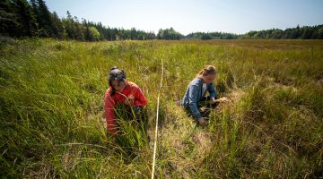 students Greenlaw and Neptune research sweetgrass harvesting in Acadia National Park